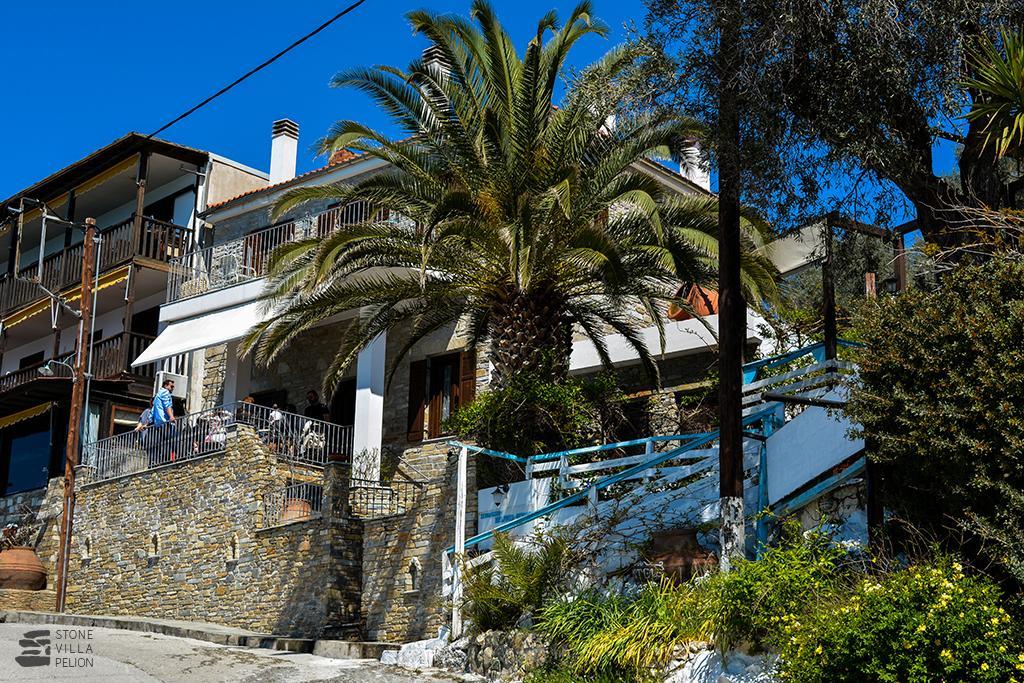 Villa Stone Pelion *